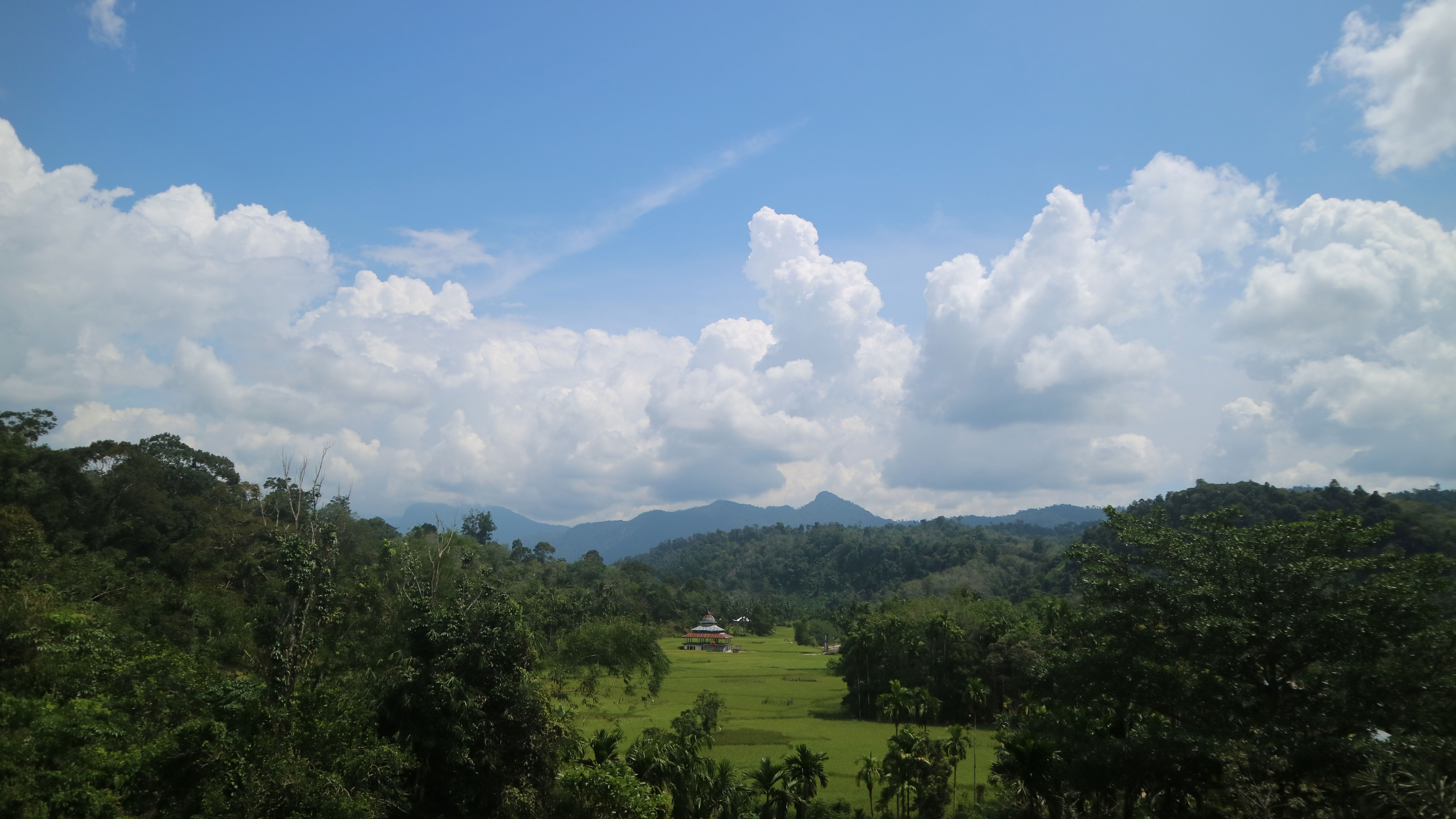 Pemerintah Kabupaten Dharmasraya