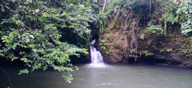 Air Terjun Sungai Kayu Aro