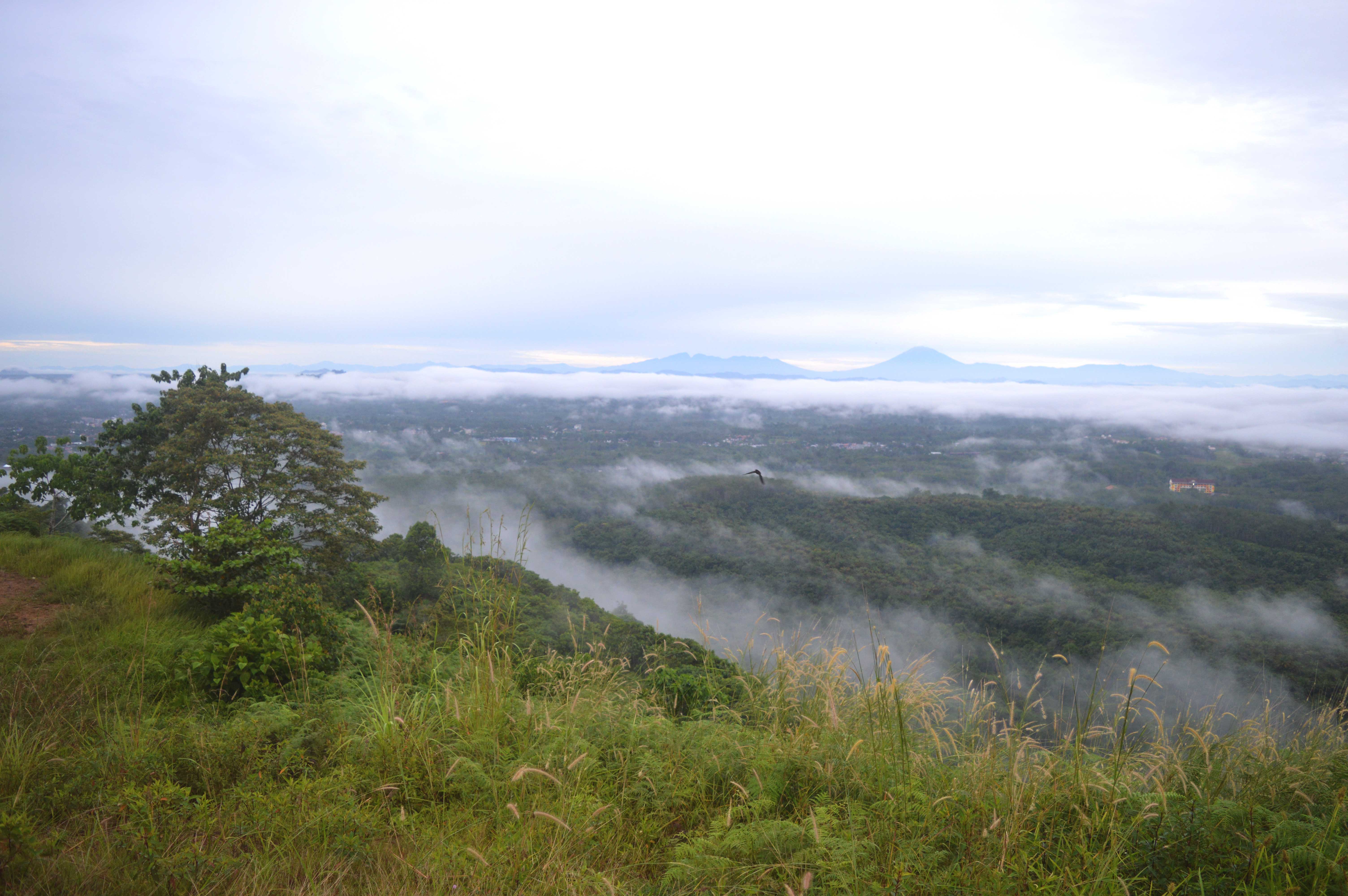 Pemerintah Kabupaten Dharmasraya