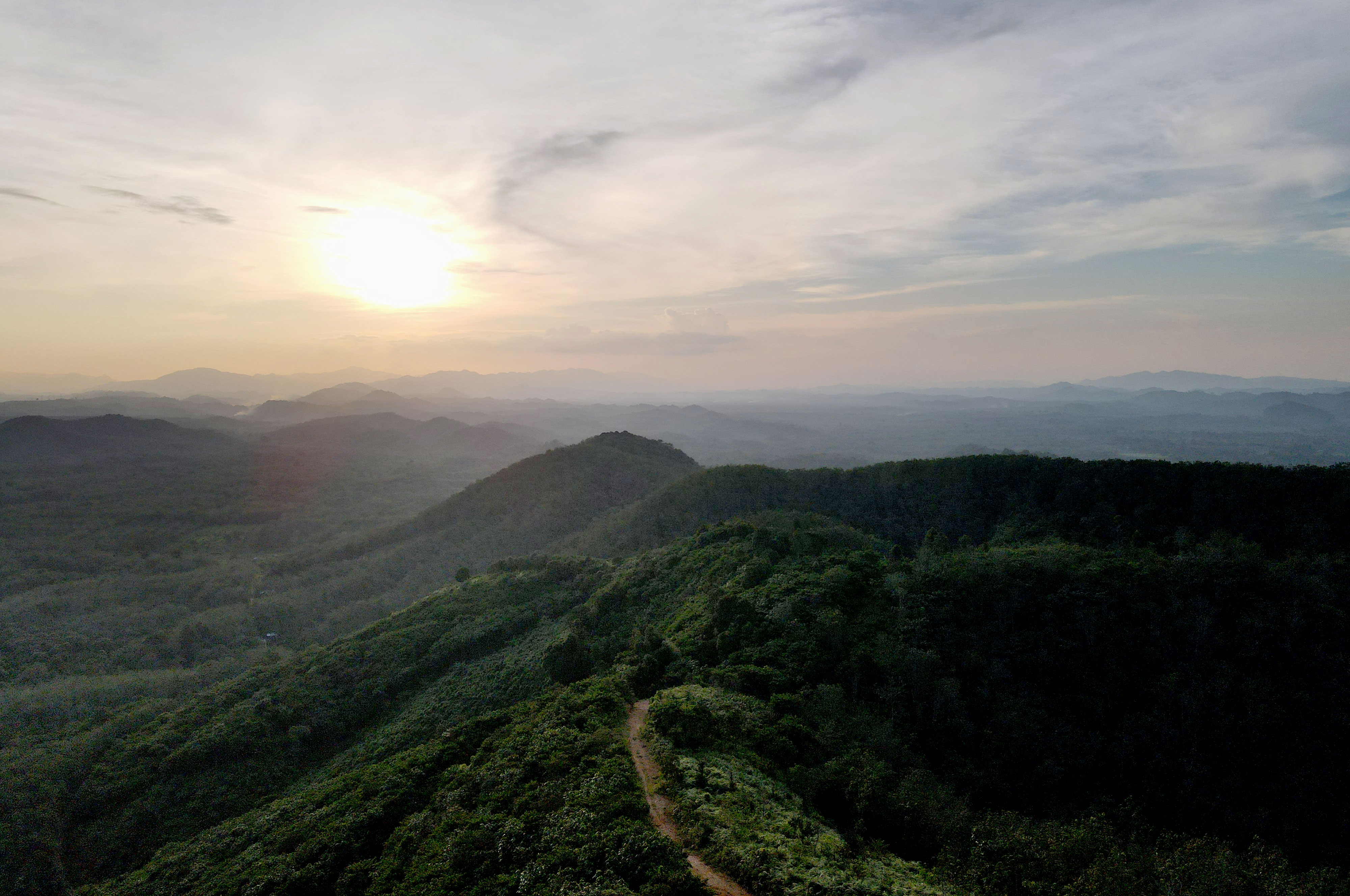 Pemerintah Kabupaten Dharmasraya