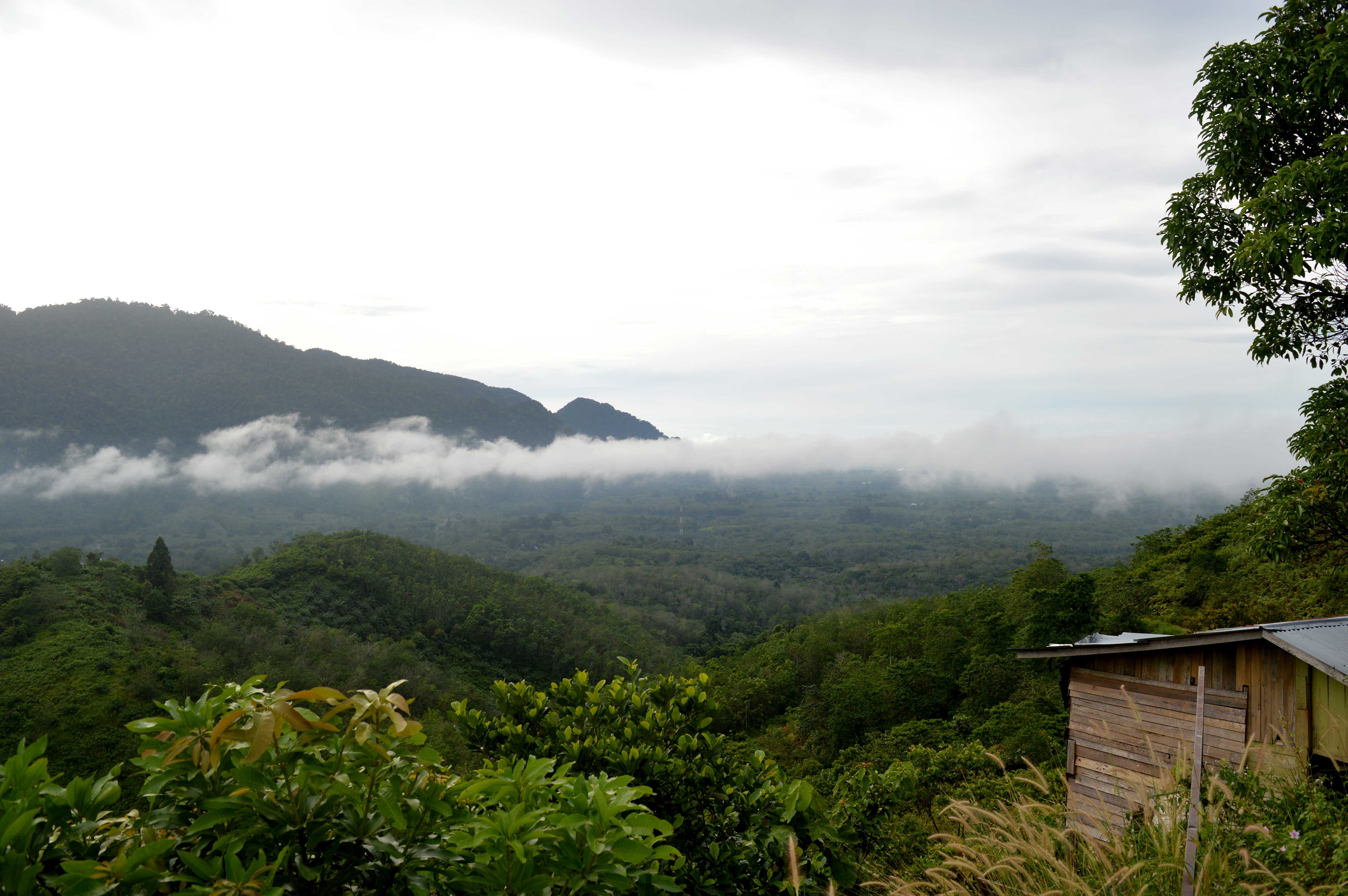 Bukik Tambun