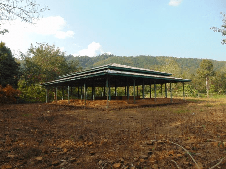 Candi Pulau sawah