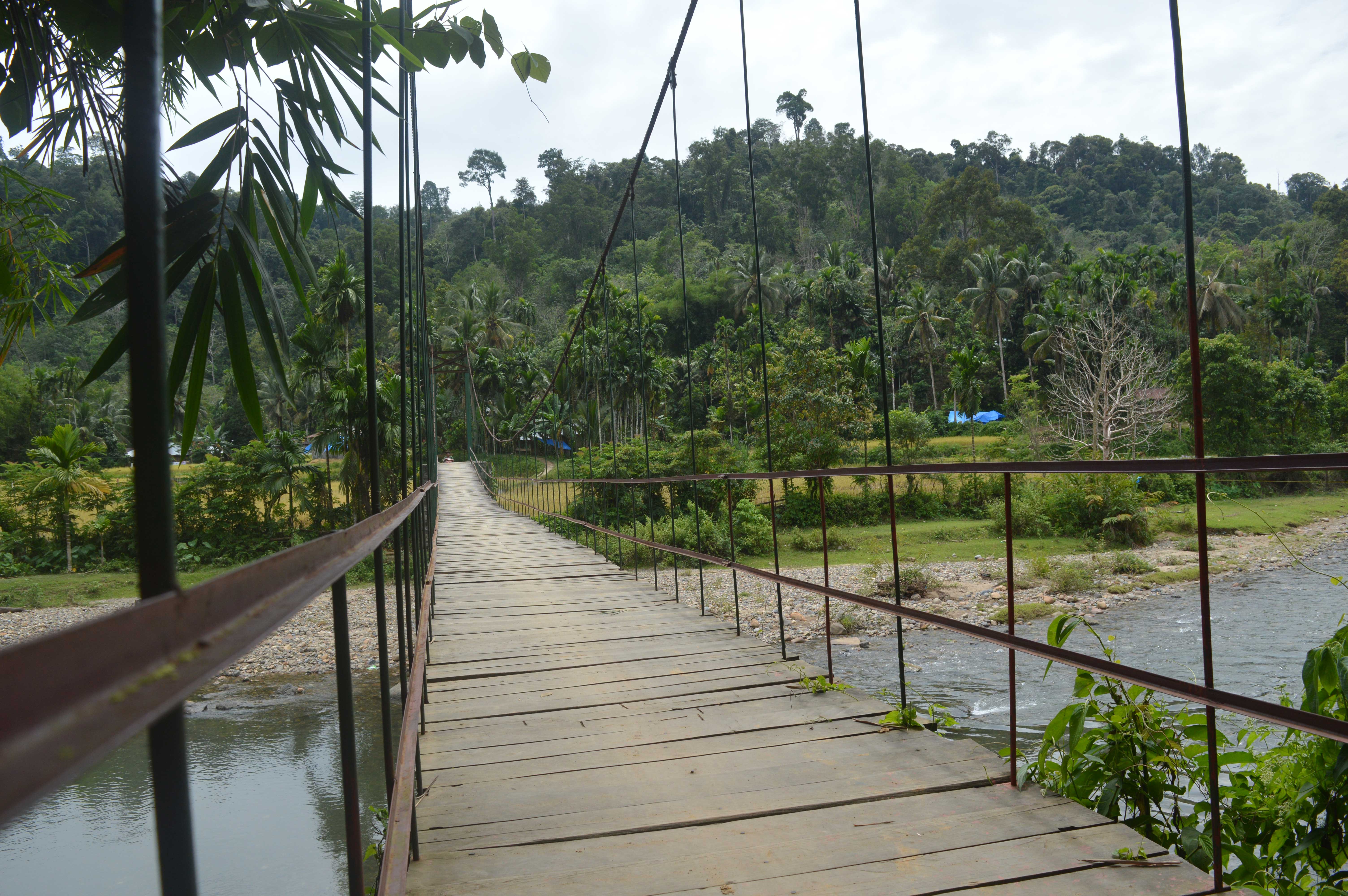 Pemerintah Kabupaten Dharmasraya