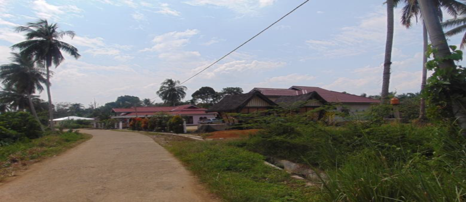 RUMAH GADANG KERAJAAN PADANG LAWEH